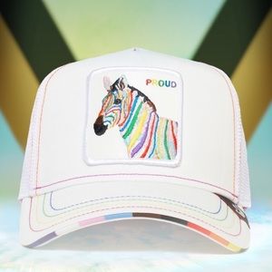 Goorin Bros limited edition 🏳️🌈